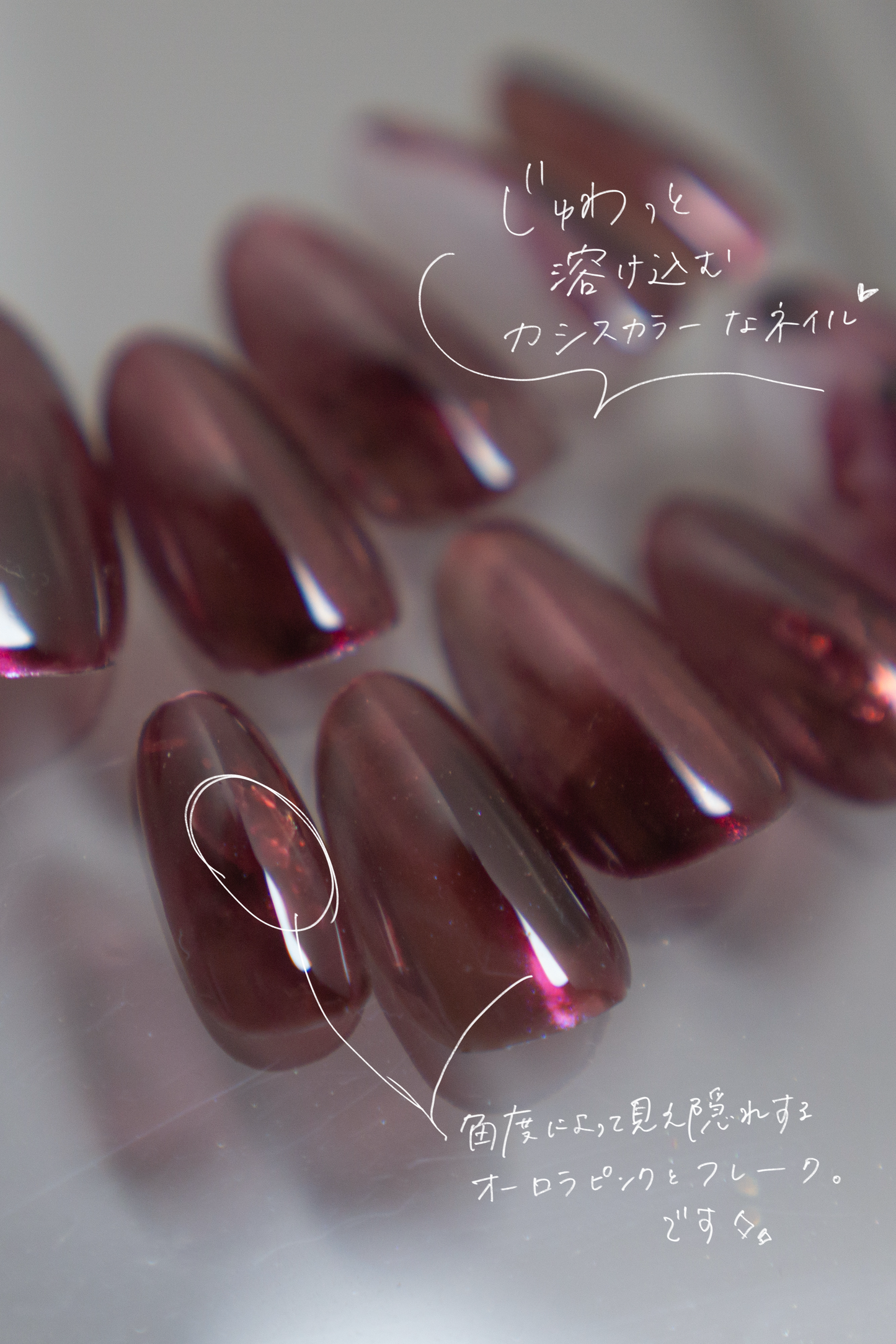 Cassiora|カシオラ